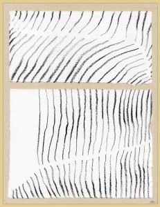 zebra lines