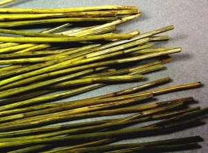 Green Yarrow stalks with French Polish